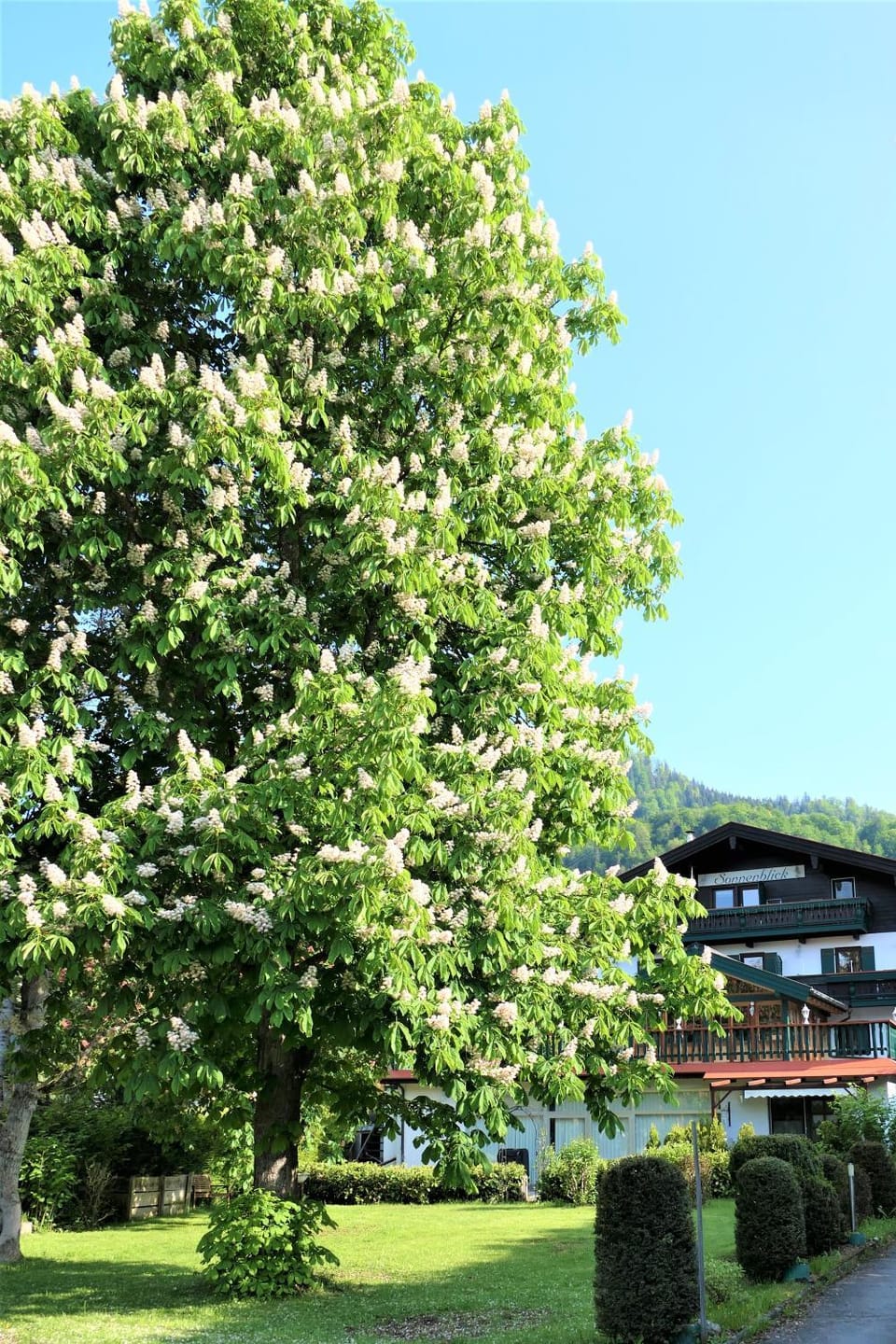 Landhaus Sonnenblick Apartment in Bavaria