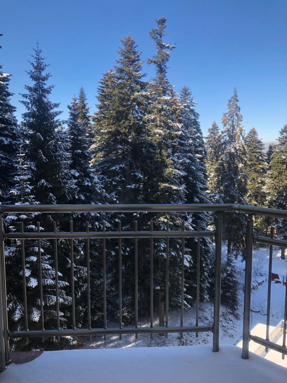 Natural landscape, Balcony/Terrace