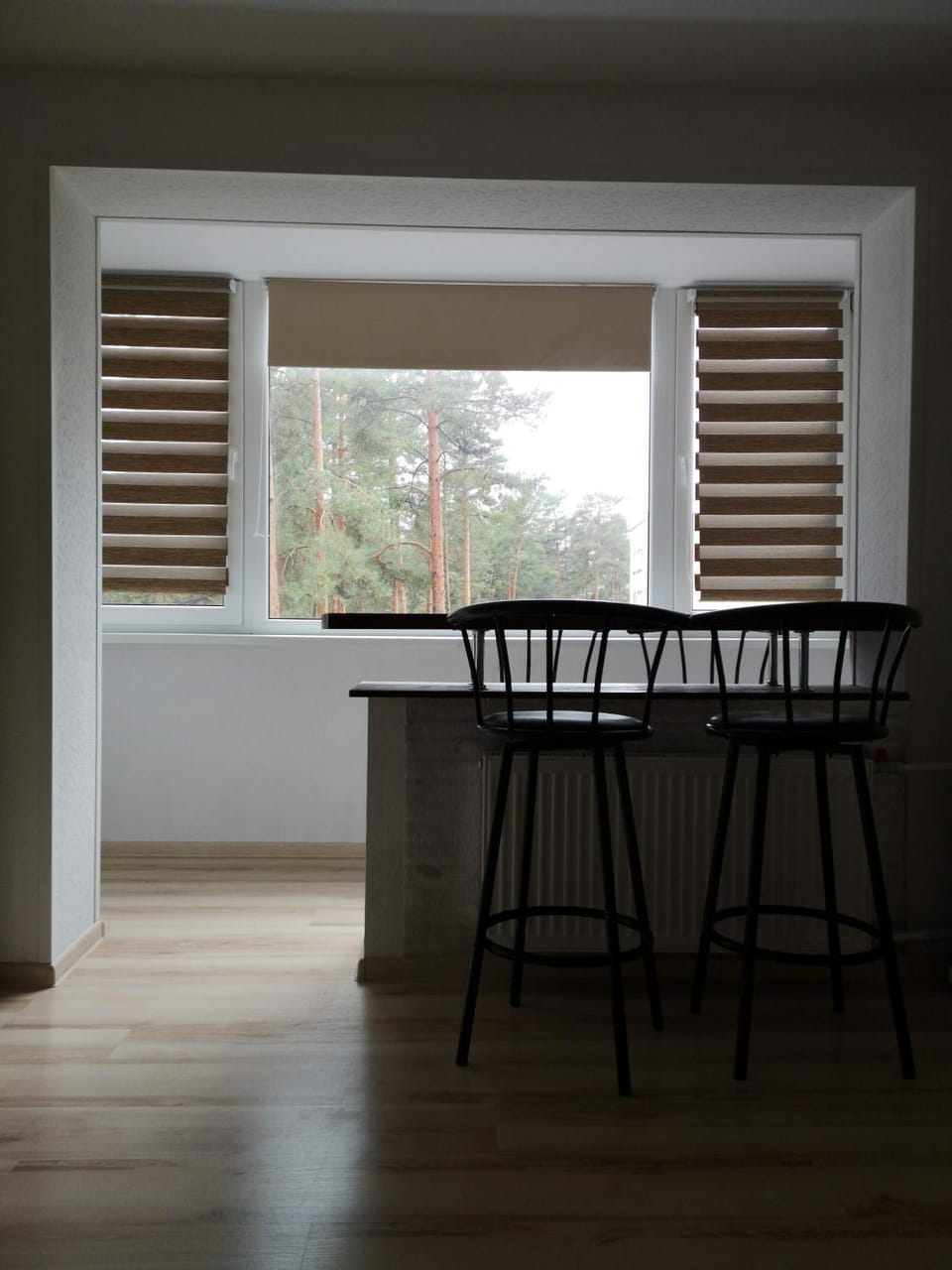 Light one room apartment Apartment in Lithuania