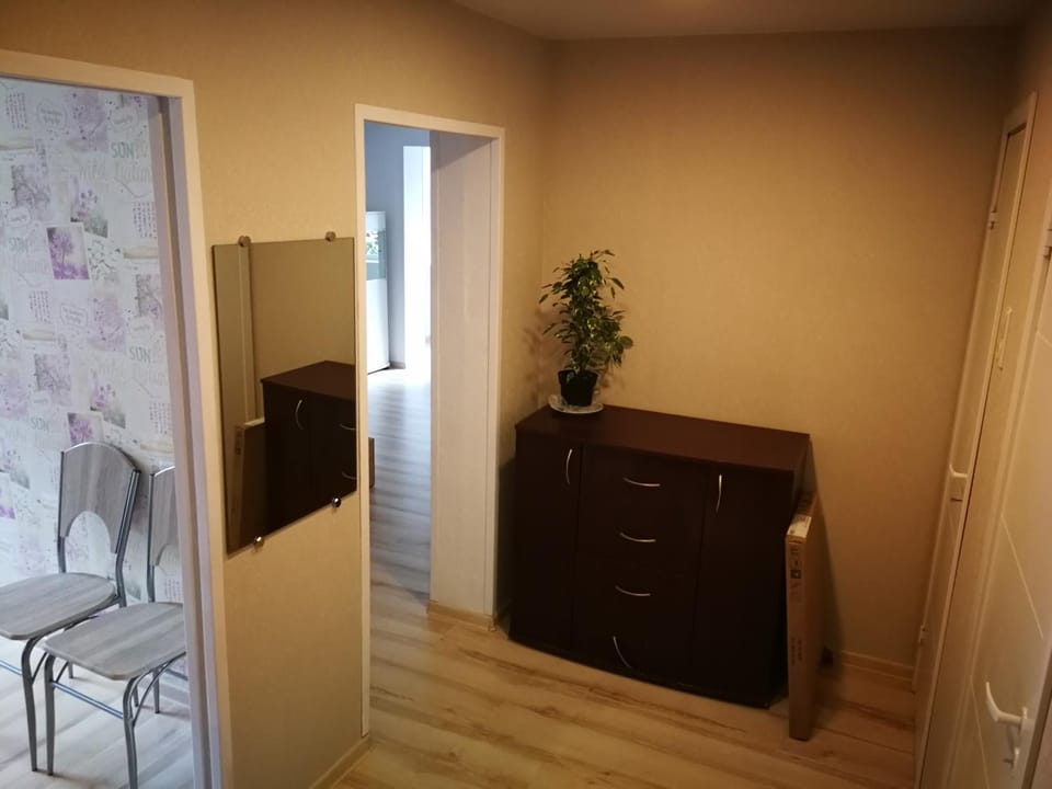 Light one room apartment Apartment in Lithuania
