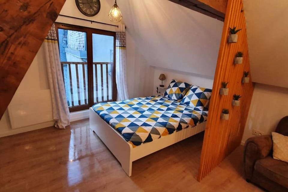 Charmant Studio Hyper Centre Apartment in Lourdes