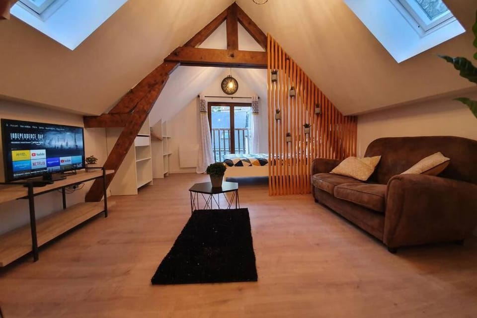 Charmant Studio Hyper Centre Apartment in Lourdes