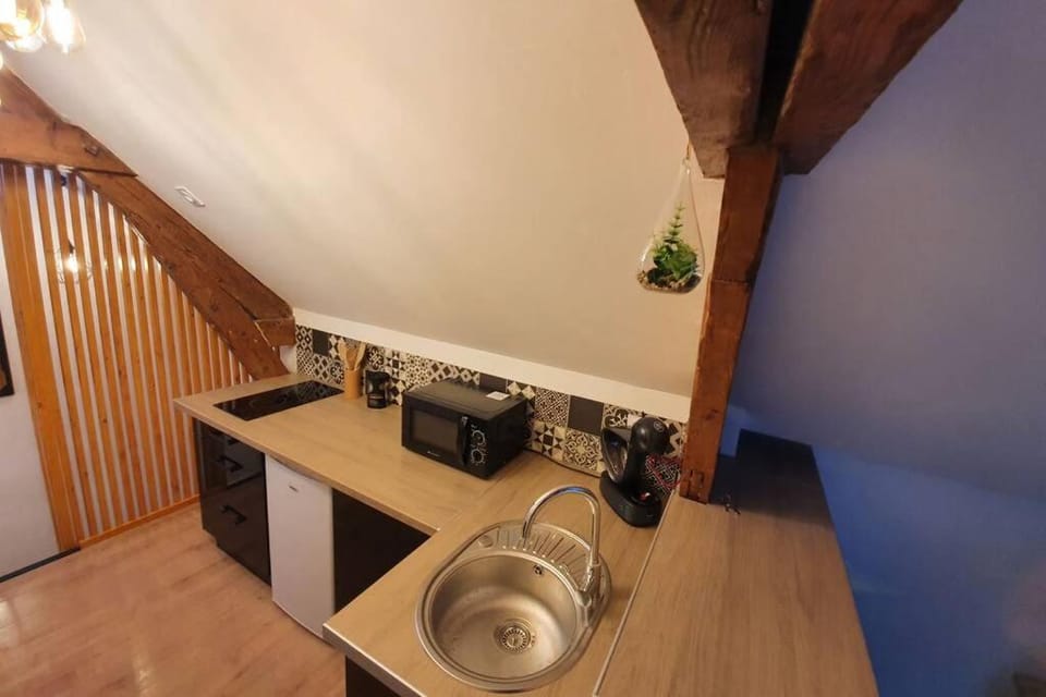 Charmant Studio Hyper Centre Apartment in Lourdes