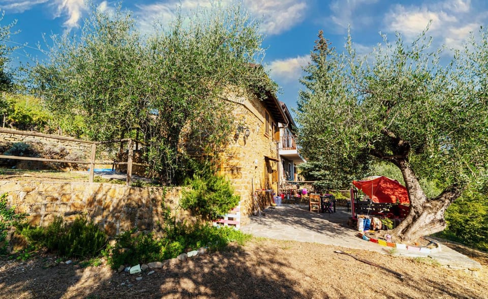 Property building, Garden, Garden, View (from property/room), Garden view