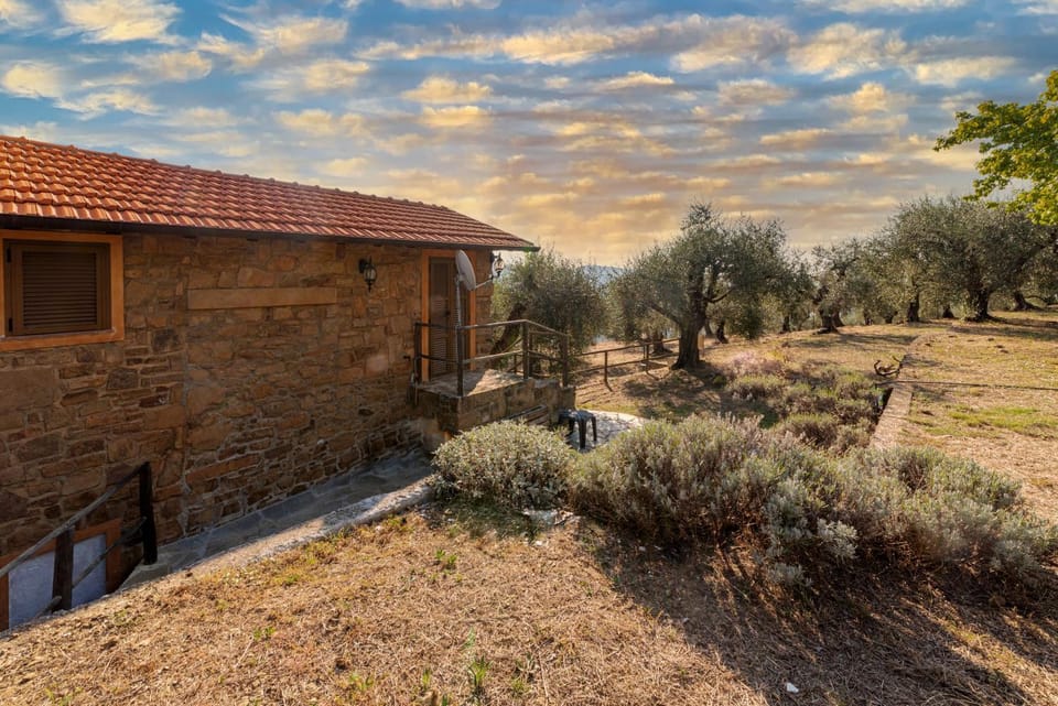 Property building, Garden, Garden