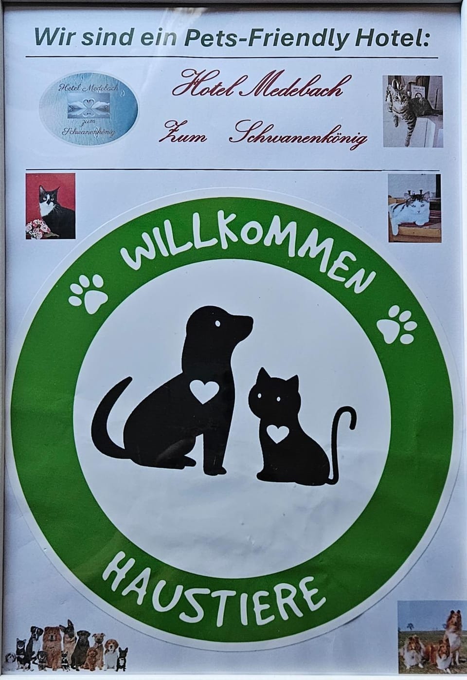 Hotel Medebach - Zum Schwanenkönig Hotel in Medebach