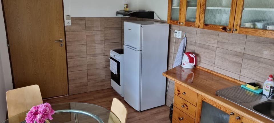 Ubytovani-prostejov Apartment in South Moravian Region