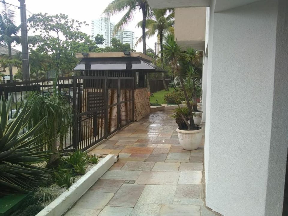 Patio, Garden, Garden view