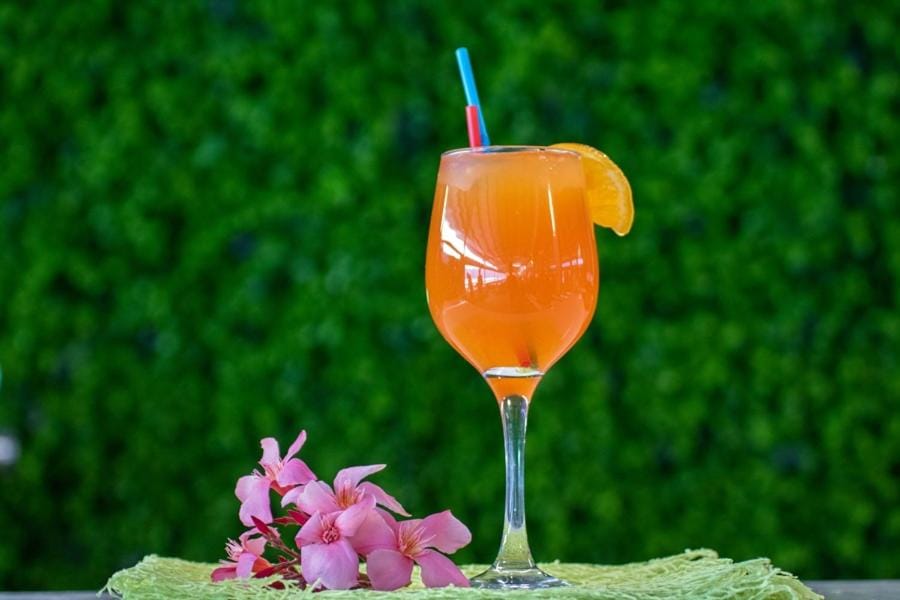 Pensiunea Danubia Bed and Breakfast in Serbia