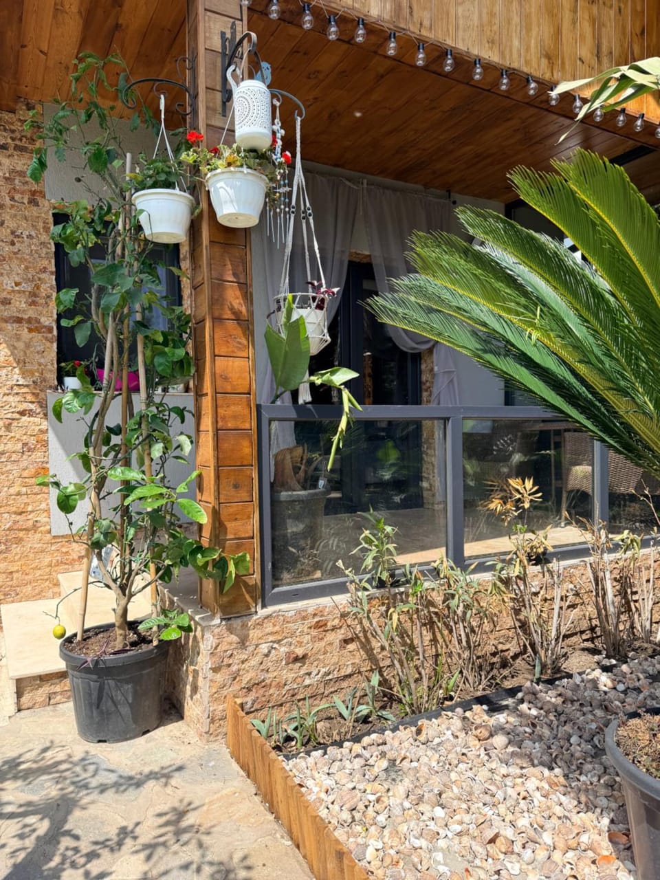 Cabana Maya House in Constanța County