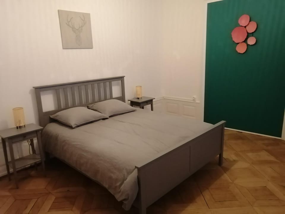 LE 1 " GÎTES TOUT CONFORT à COLMAR CENTRE" Apartment in Colmar