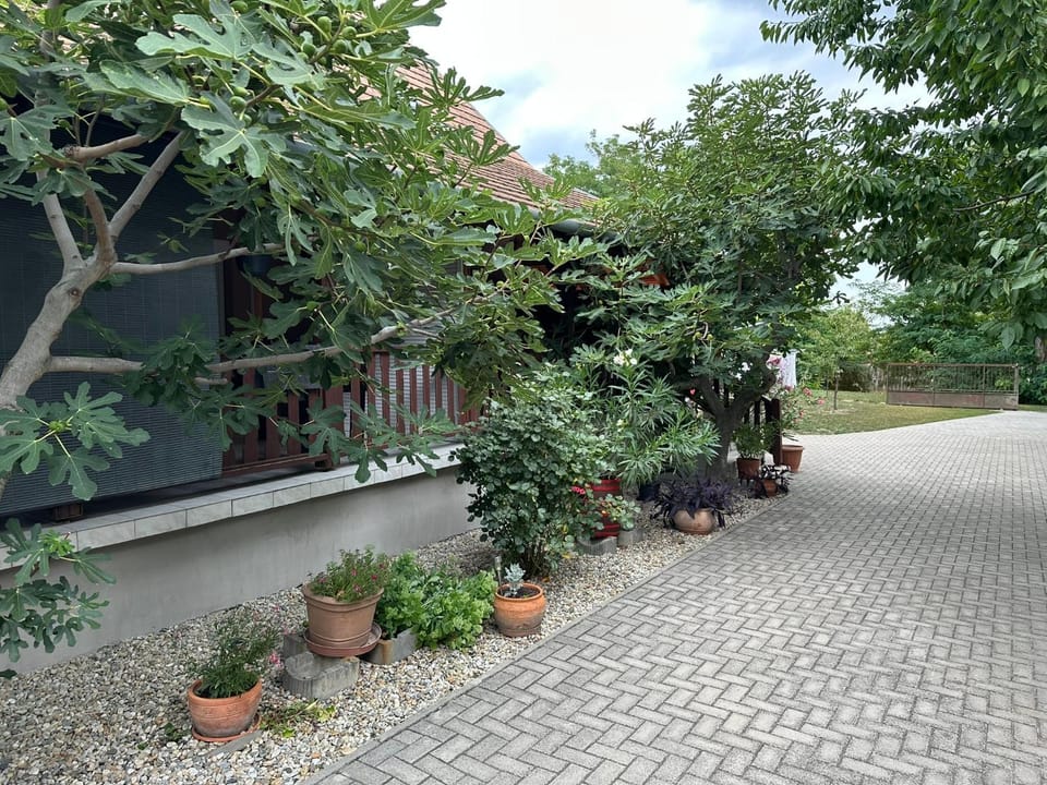Garden, Parking