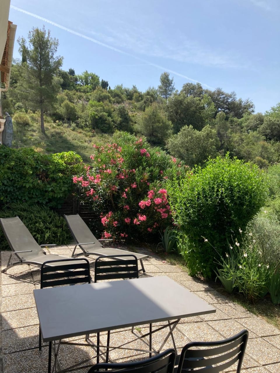 Natural landscape, Garden view