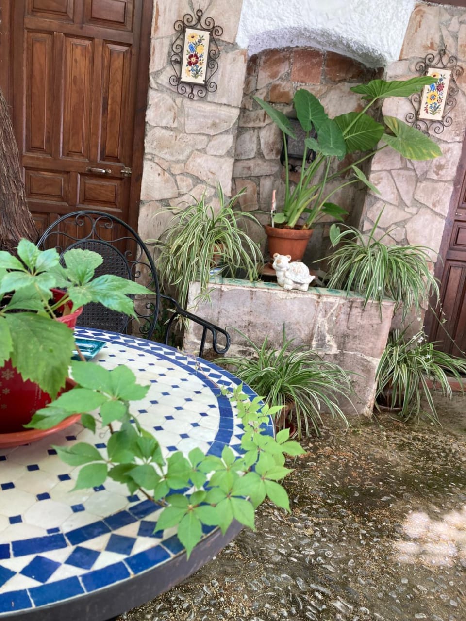 Garden