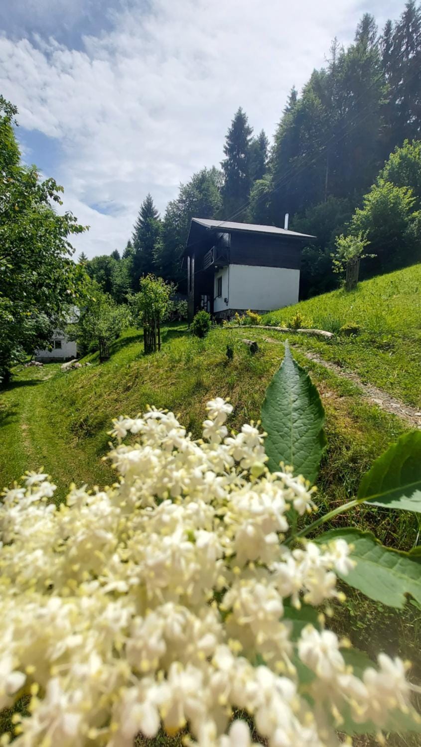 Natural landscape