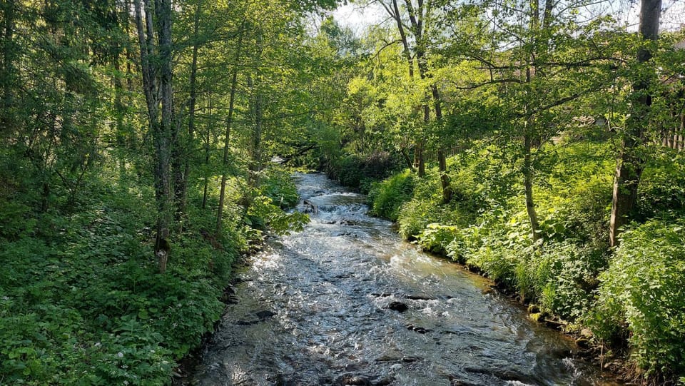 River view