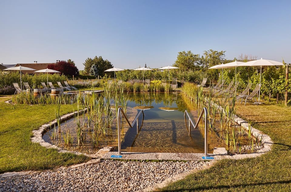 Day, Natural landscape, Garden, Garden view, Pool view, Swimming pool, Swimming pool, Open Air Bath