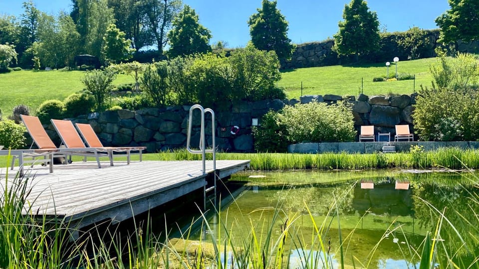 Garden, Garden view, Pool view, sunbed