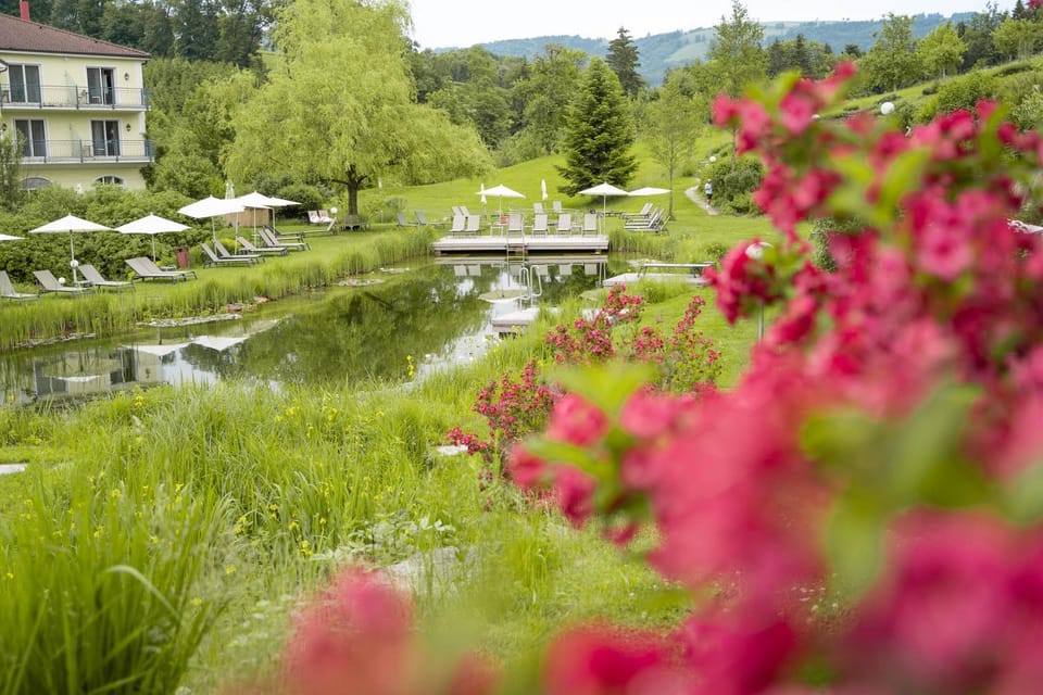 Natural landscape, Garden