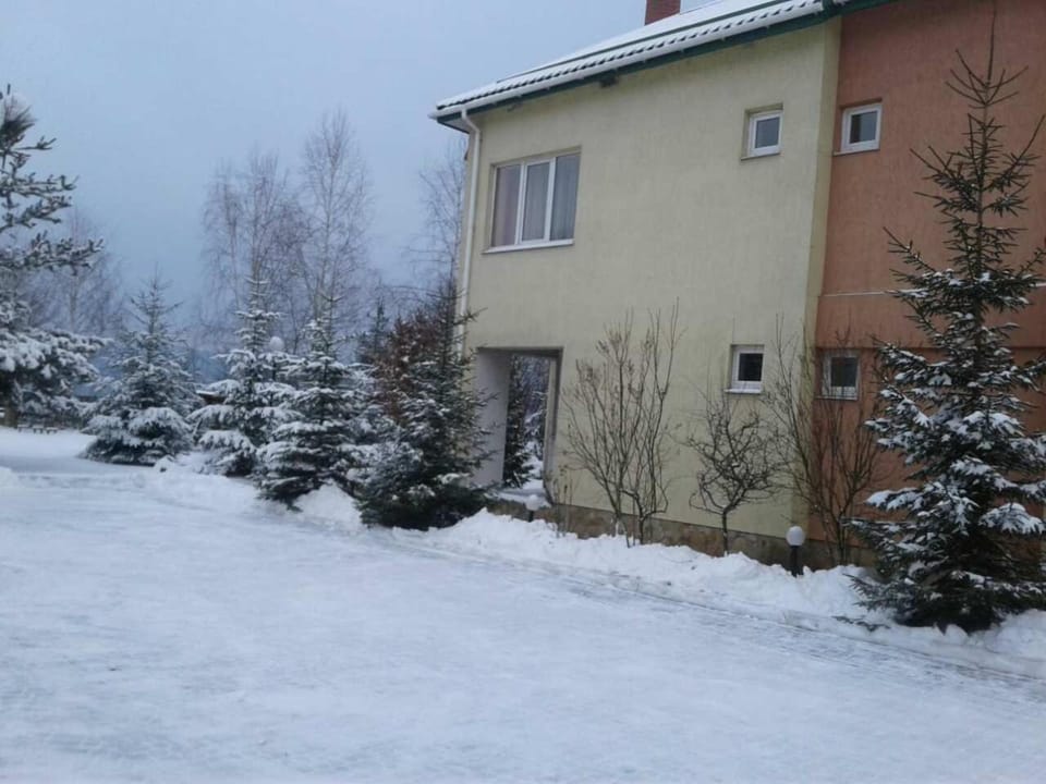Karpaty Viking Motel in Lviv Oblast