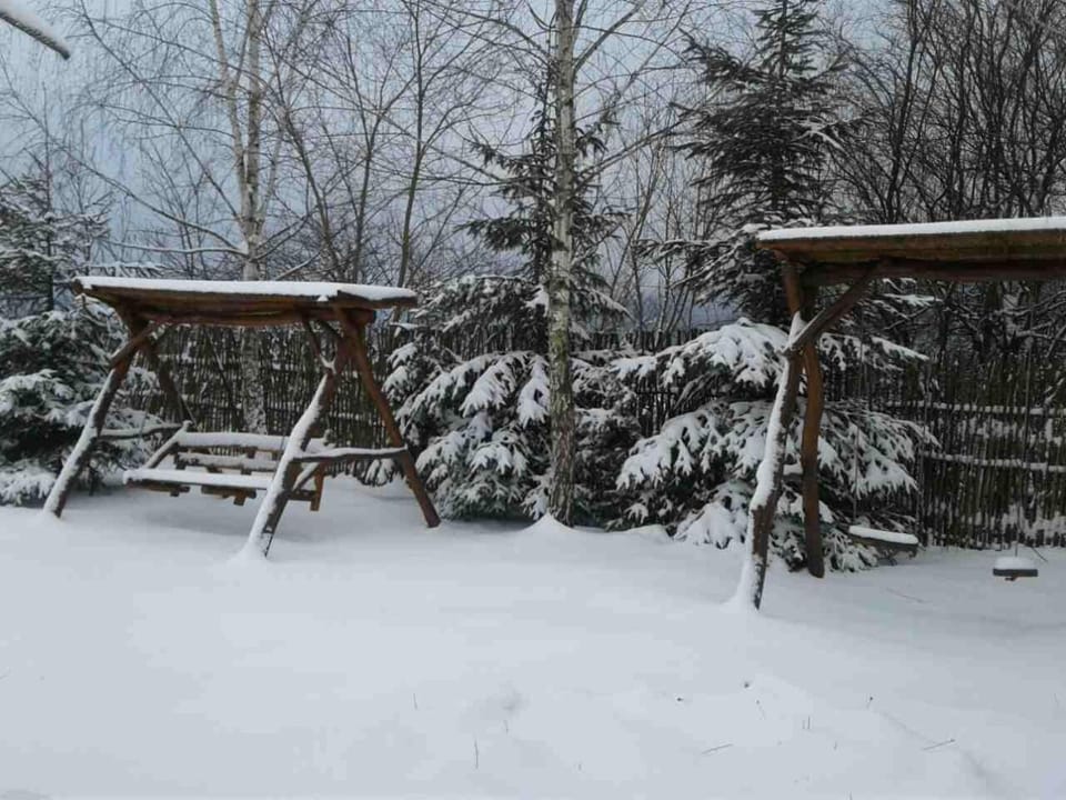 Karpaty Viking Motel in Lviv Oblast
