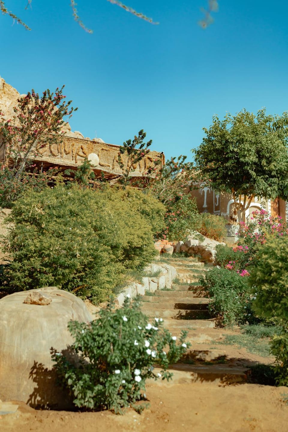 Garden, Garden view