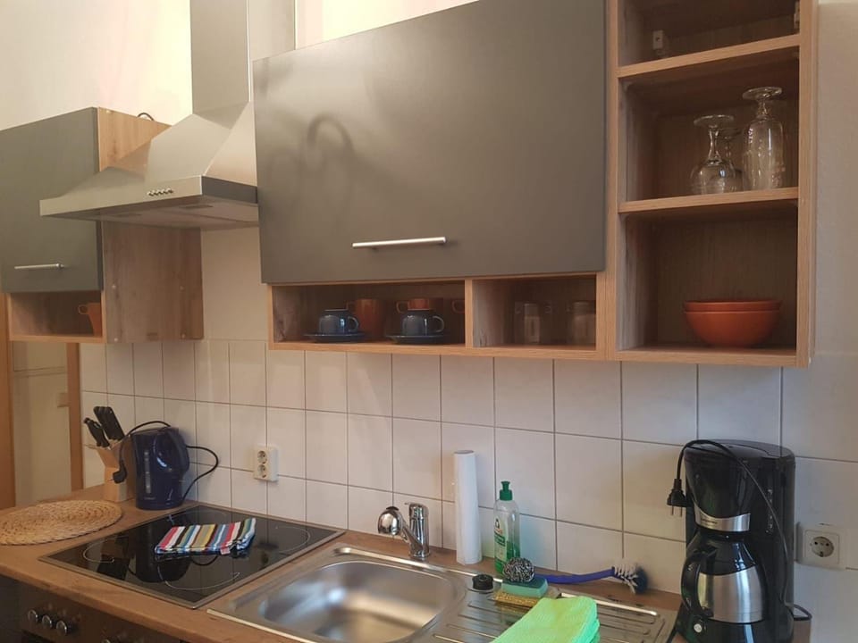 Kleiner-Muldenblick Apartment in Saxony