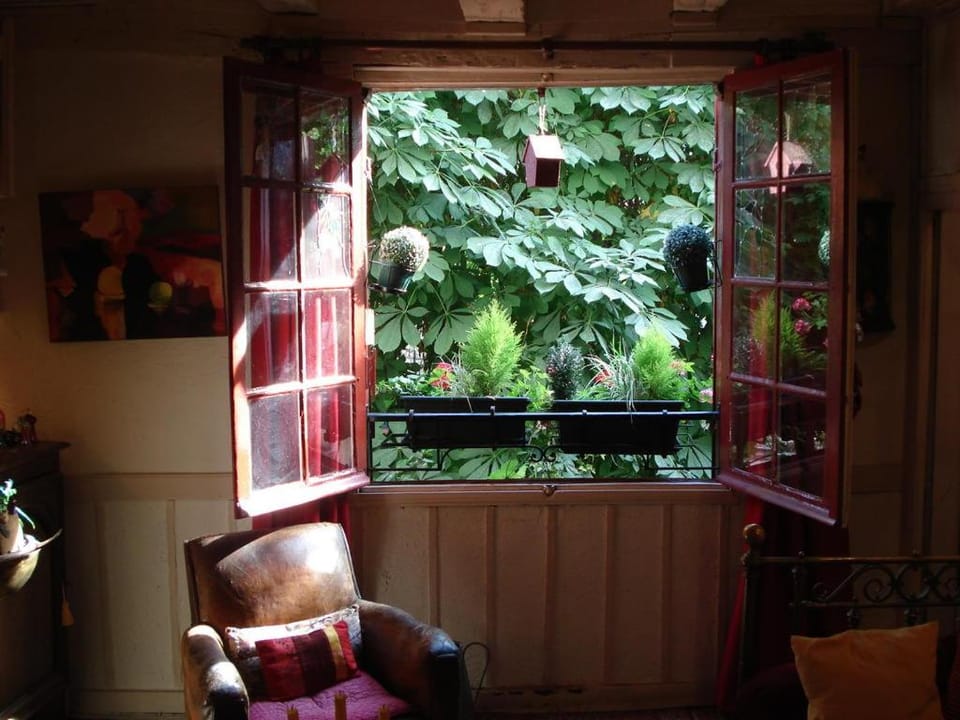 View (from property/room)