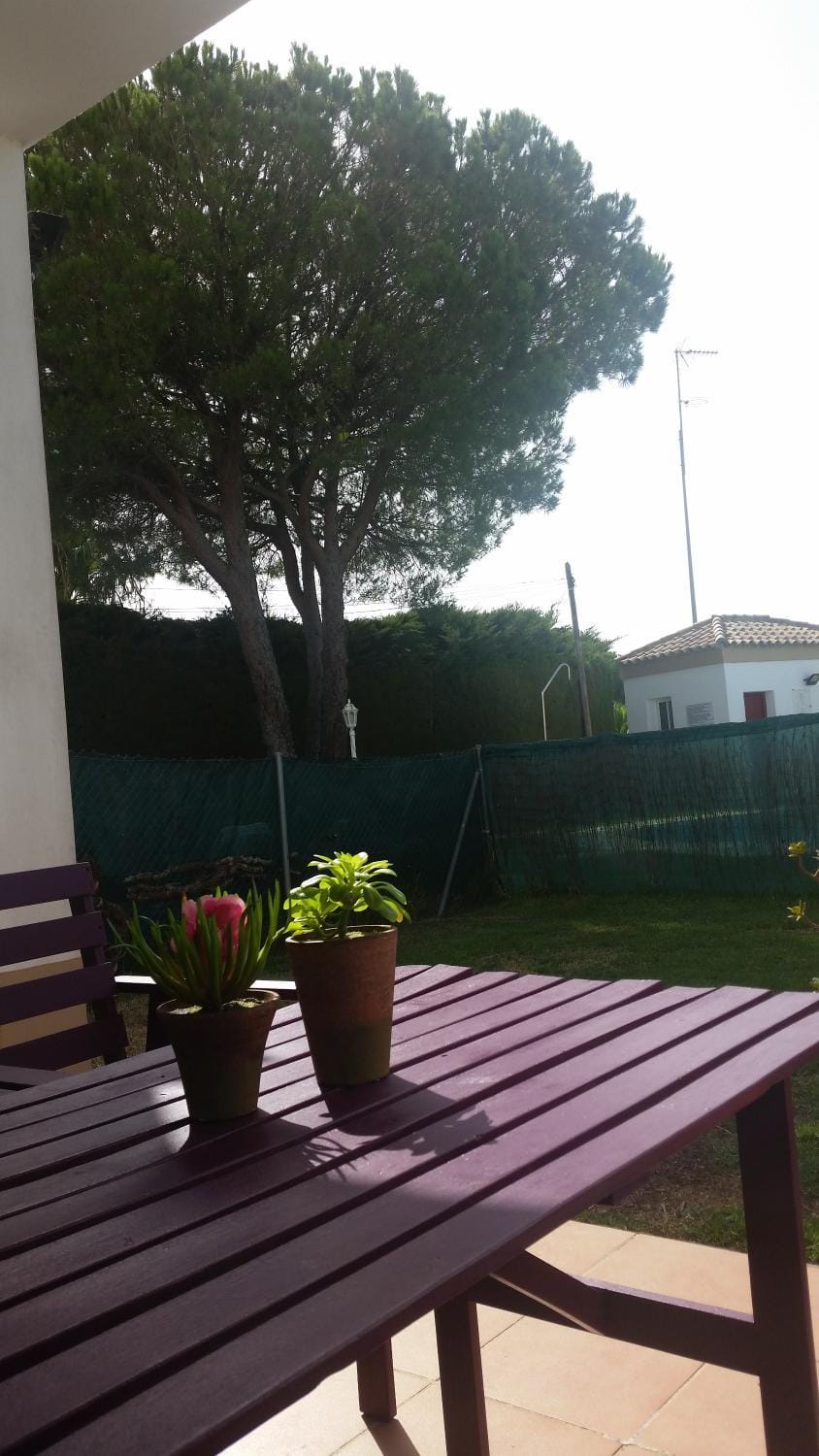 Garden, Garden view