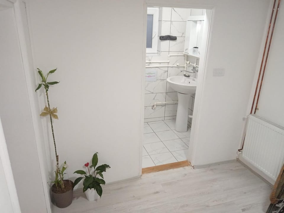 Apartman Branka Apartment in Serbia