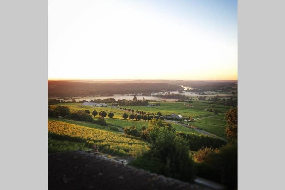 Vue panoramique sur le vignoble - 1D Rue Porte Oison, 18300 Sancerre Apartment in Sancerre