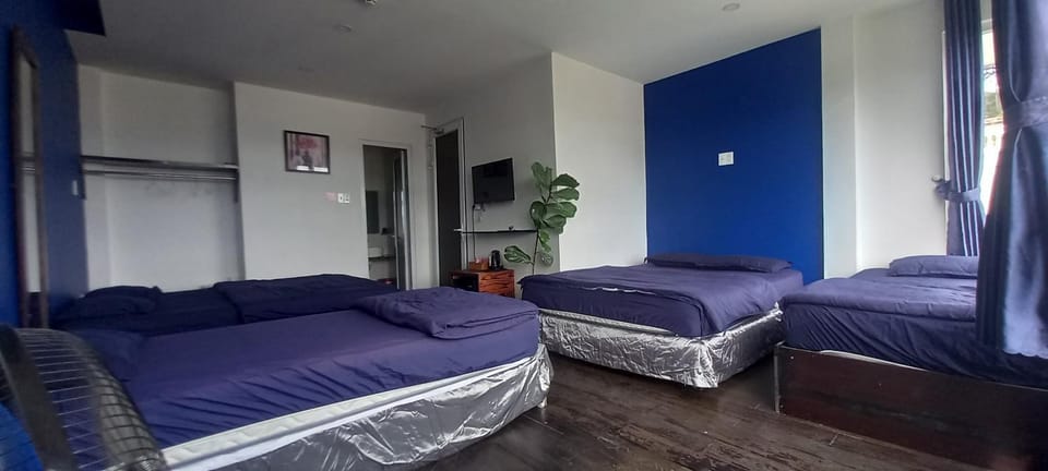 Thung Lũng Mơ - Dream Valley Vacation rental in Dalat