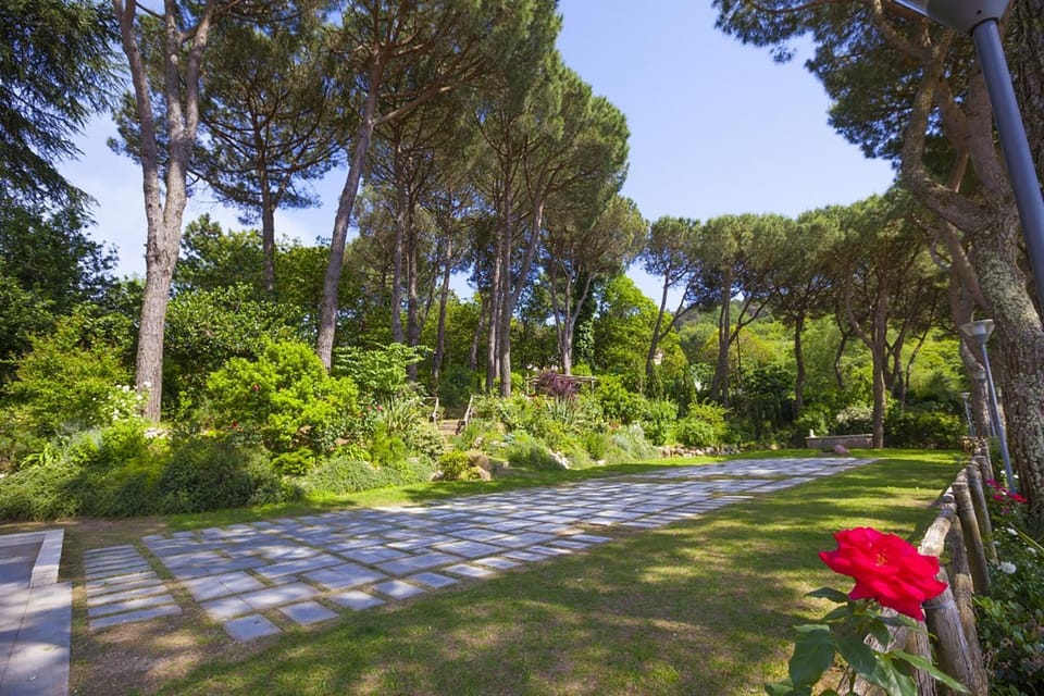 Patio, Garden, Garden view