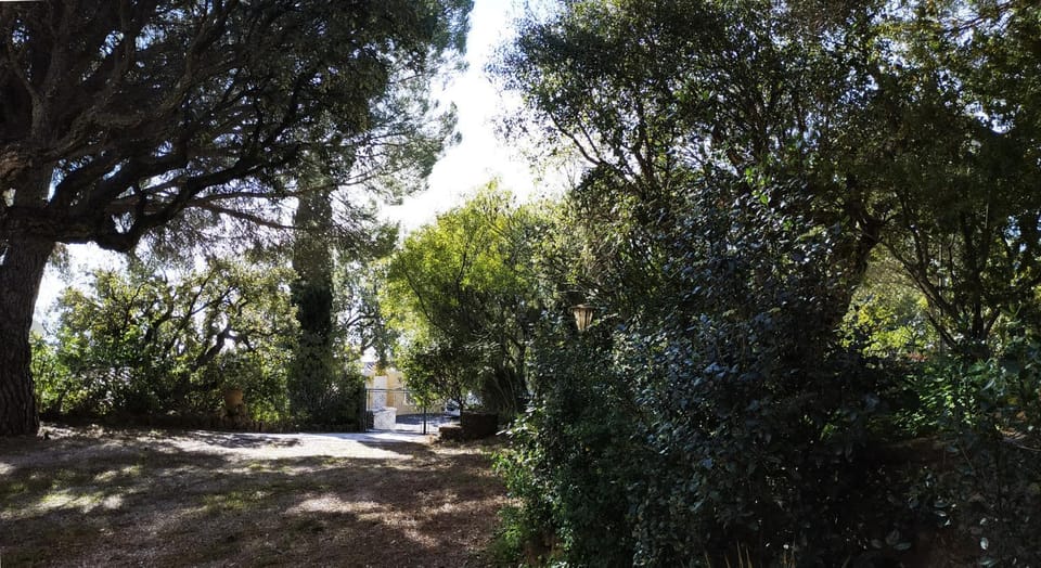 Garden, Garden view