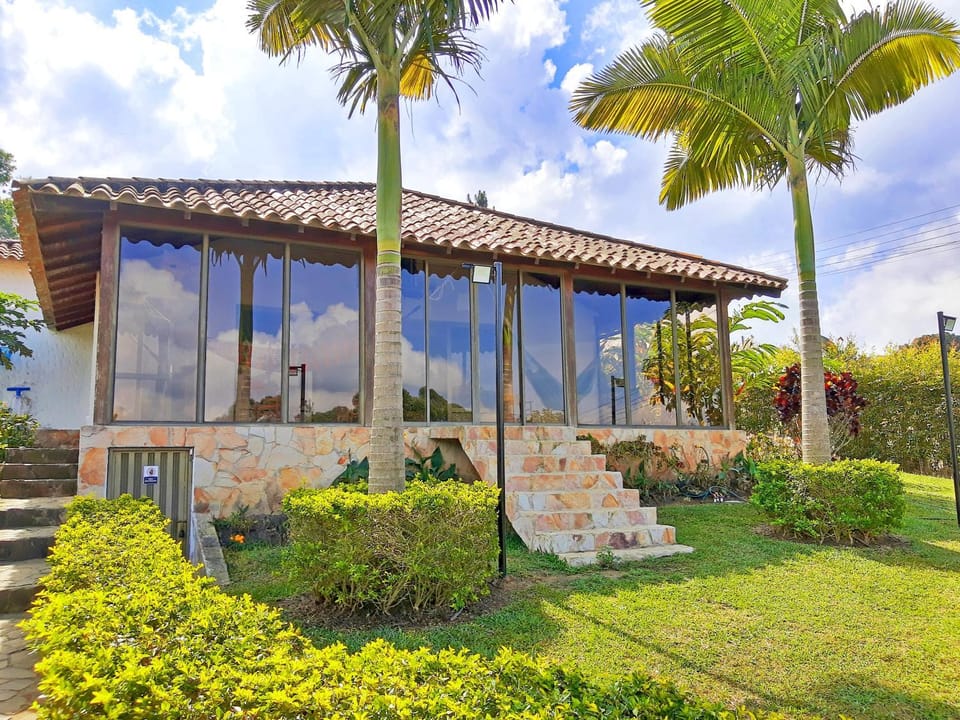 Patio, Garden