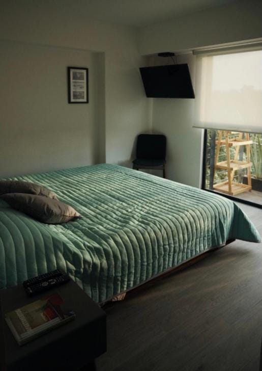 Confortable Departamento Ciudad de México Apartment in Mexico City