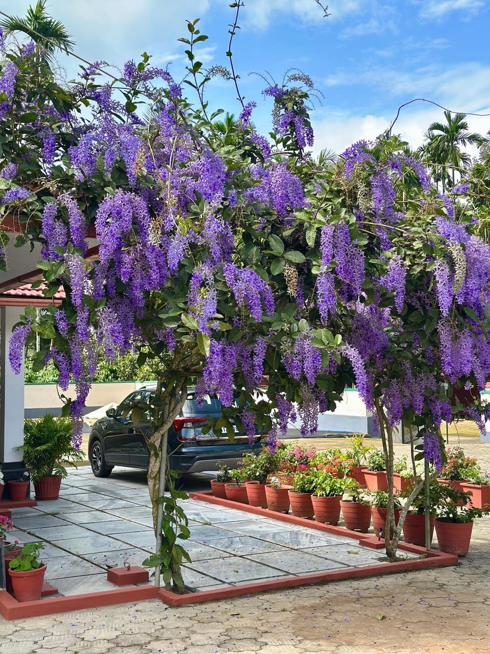 Green Castle Vacation rental in Karnataka