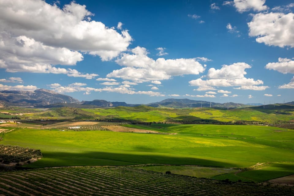 Mountain view