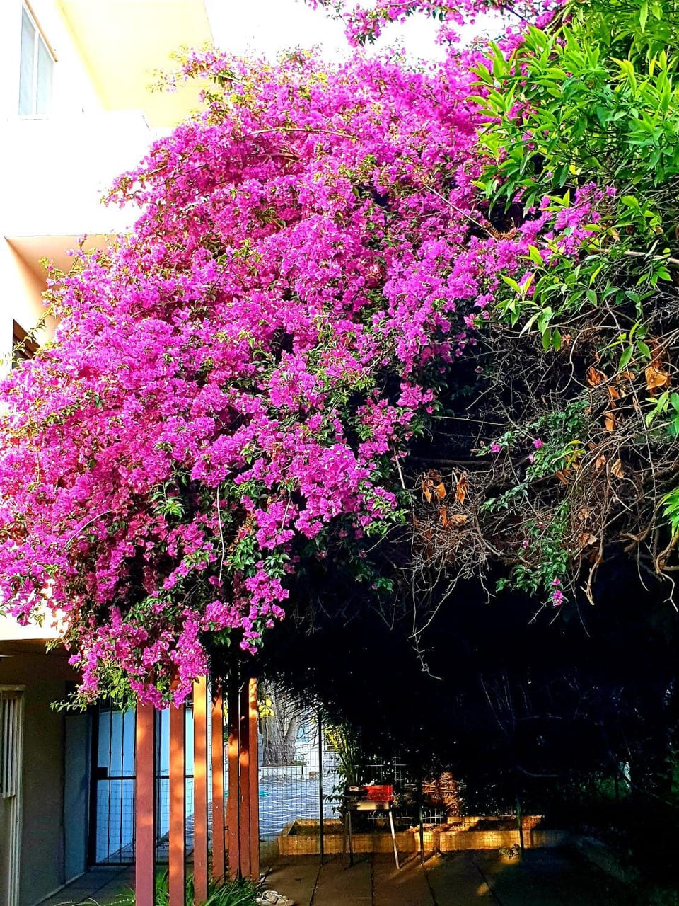 QUIET HOUSE GARDEN NAPLES-POMPEI-SORRENTO House in Campania
