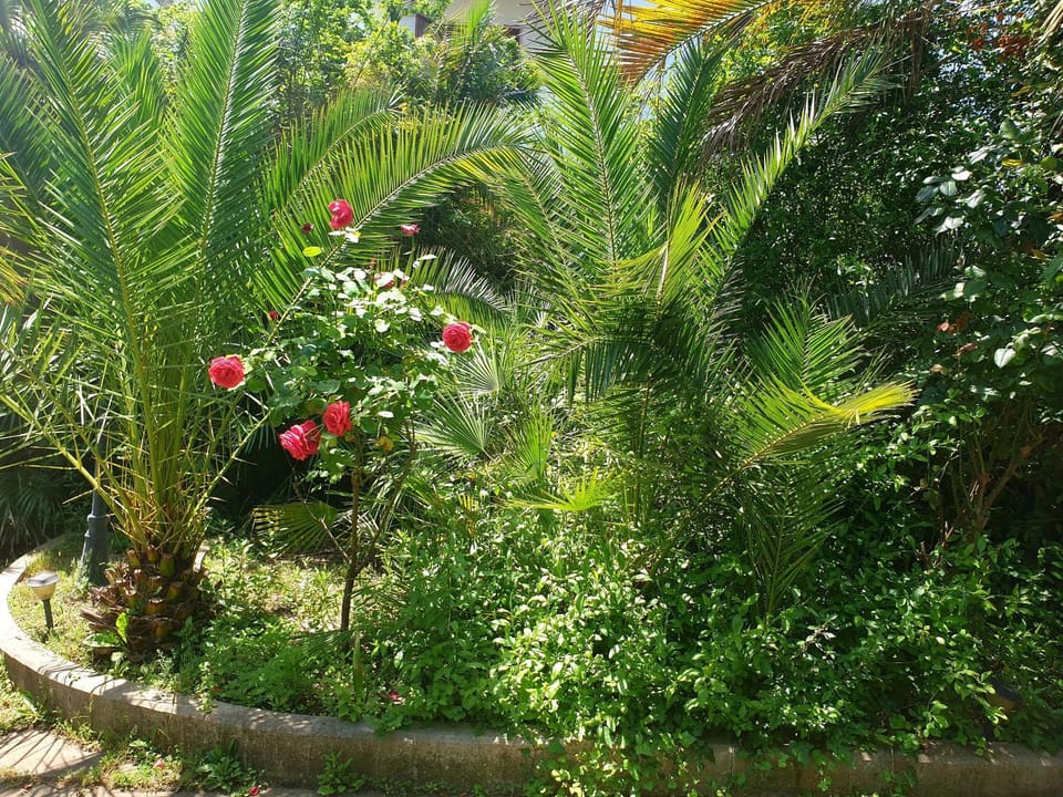 QUIET HOUSE GARDEN NAPLES-POMPEI-SORRENTO House in Campania