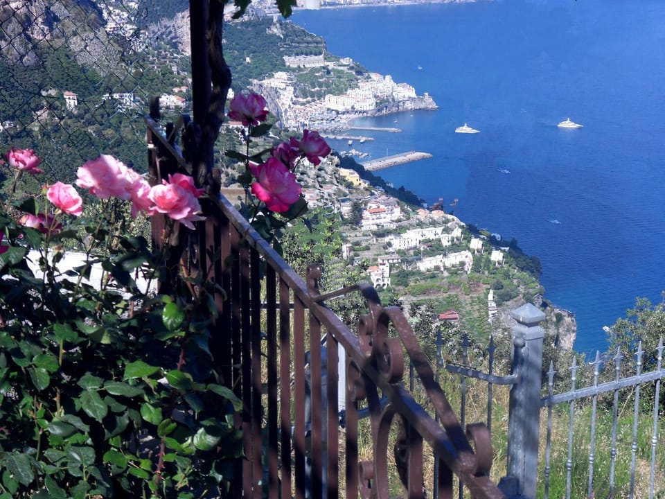 Garden, Garden view