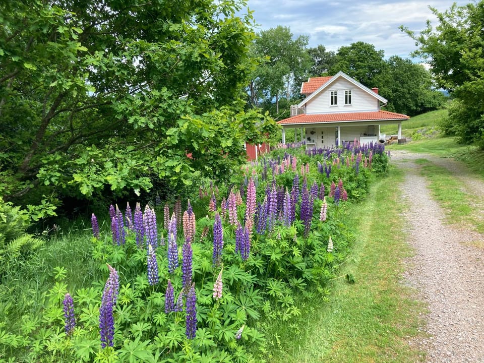 Ny Flintarp House in Skåne County