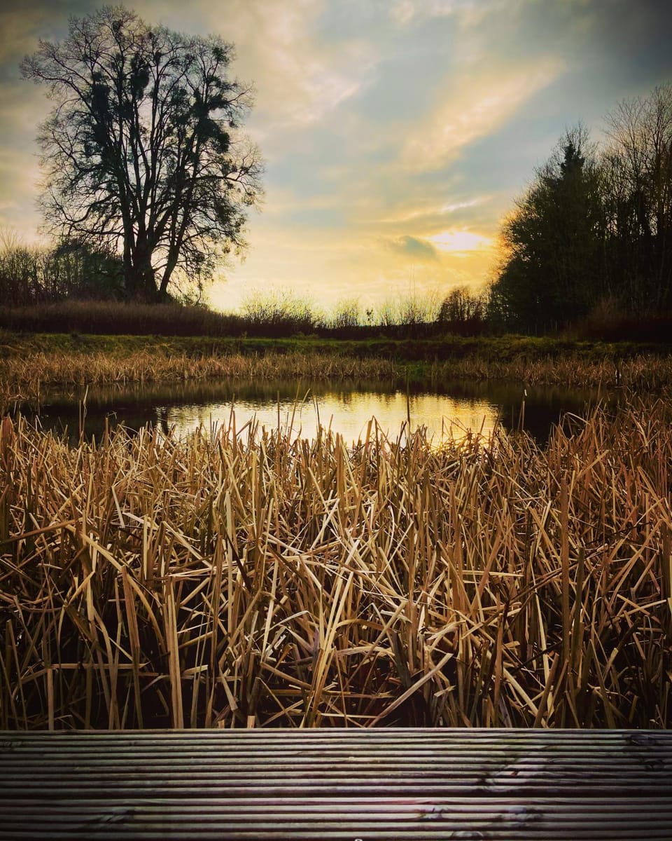 Lake view
