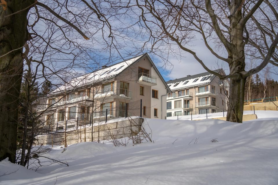 Property building, Winter