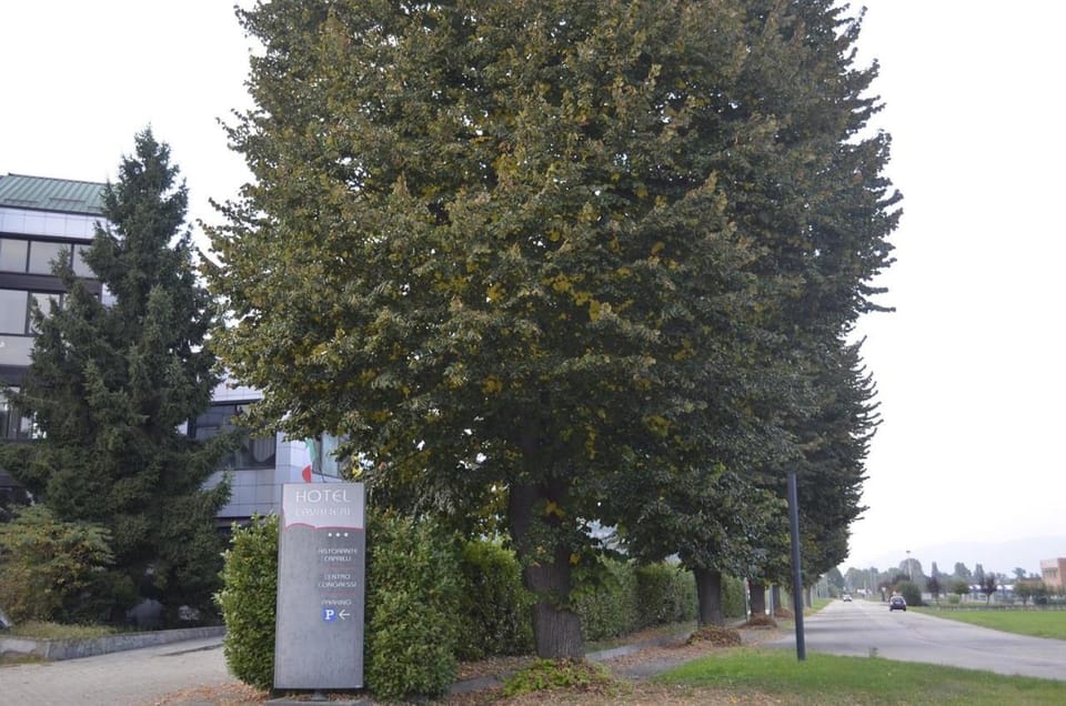 Natural landscape, Street view