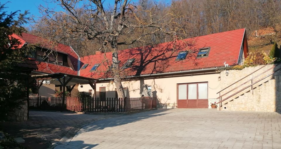 Inner courtyard view