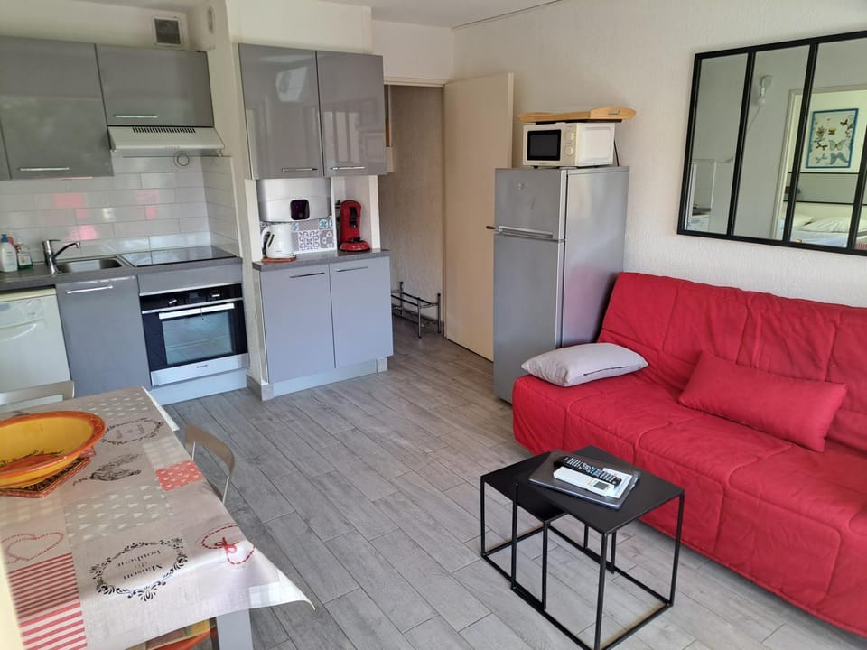 Hélios 32, T2 climatisé, parking, 500m plage Apartment in Agde