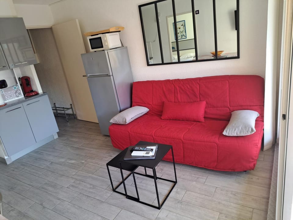 Hélios 32, T2 climatisé, parking, 500m plage Apartment in Agde