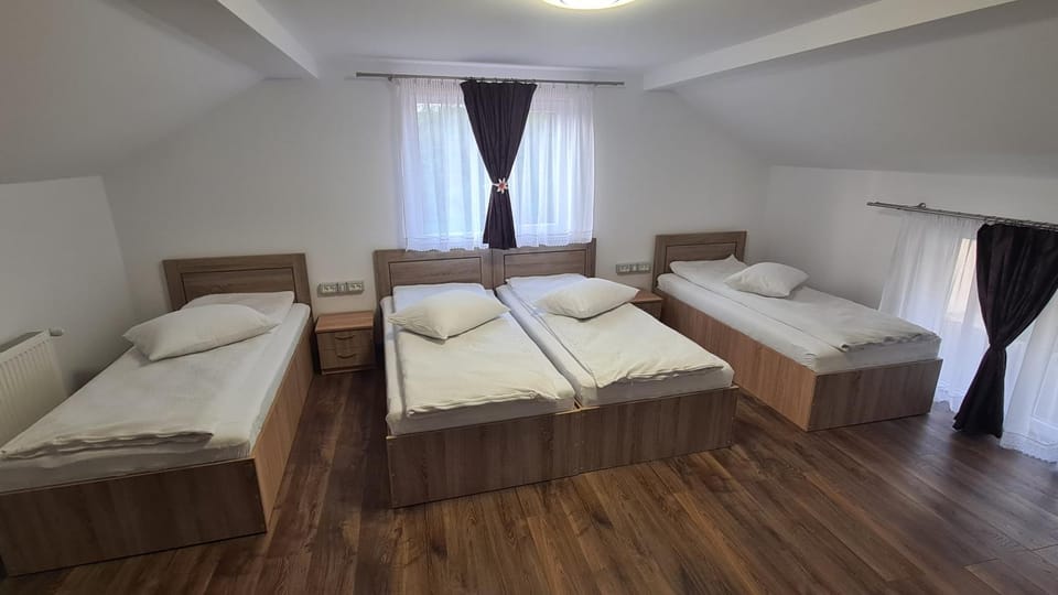 Pensiunea Anisoara Bed and Breakfast in Hungary