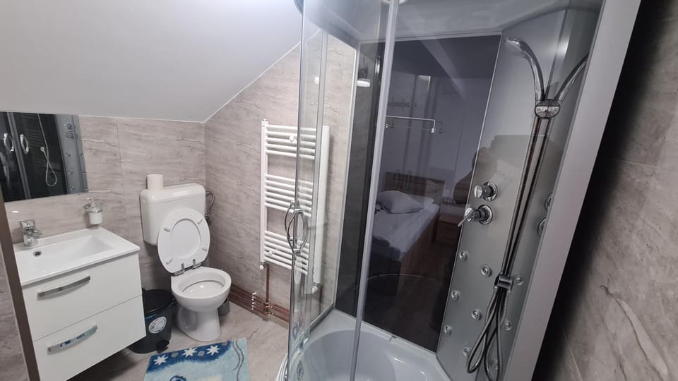 Pensiunea Anisoara Bed and Breakfast in Hungary